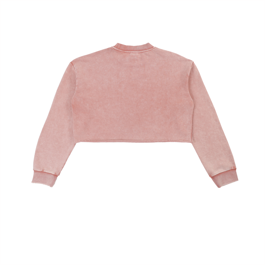 Plugged In Snow Washed Raw Edge Cropped Sweatshirt